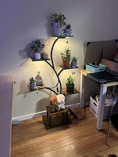 LumiPlant en un rincón de oficina en casa