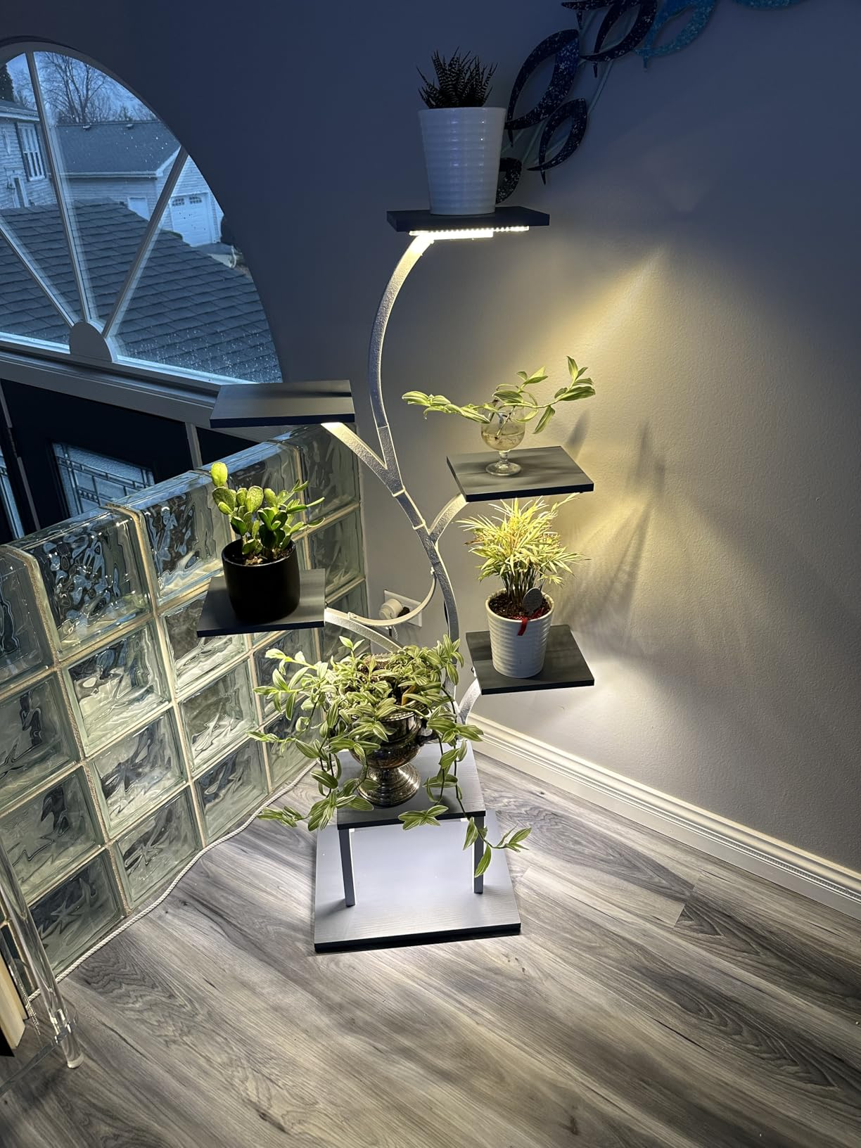 LumiPlant junto a una ventana luminosa