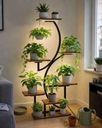 1 Lumiplant