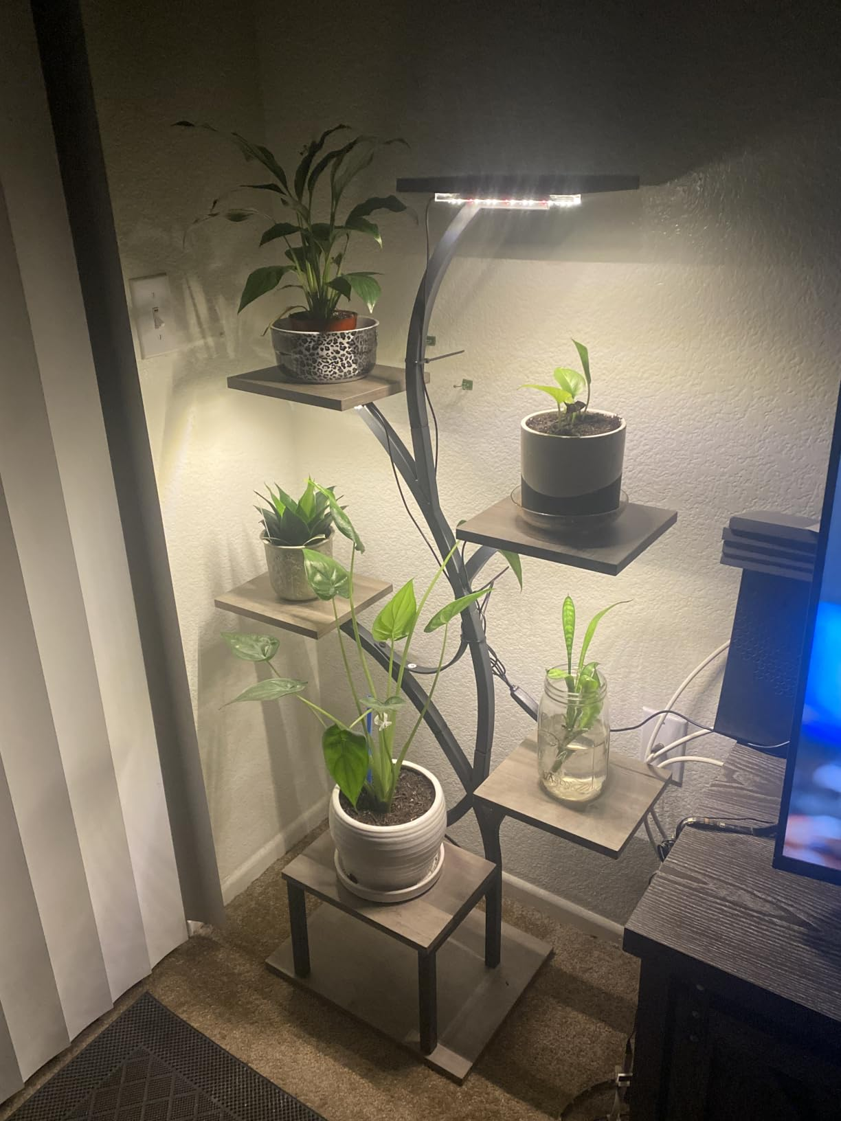 LumiPlant en una sala con luz de crecimiento